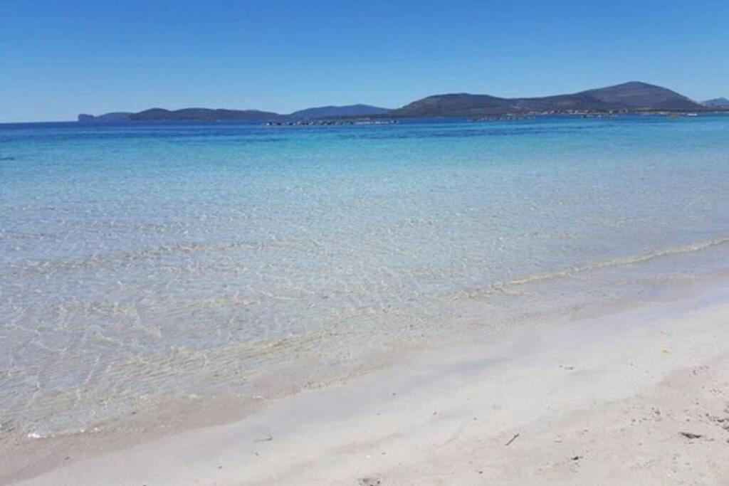 Alghero Sun & Sea - Spiaggia A 50 Metri Zewnętrze zdjęcie